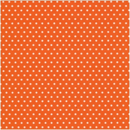 CARTA REGALO 70X100CM 10 FOGLI DIS.208G ECOCARTA