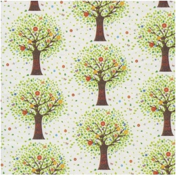CARTA REGALO 70X100 10FG DIS.270E ECOCARTA