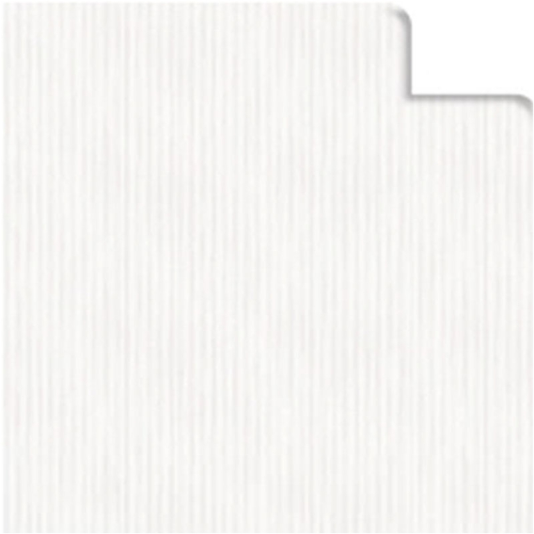 CARTA REGALO 70X100CM 10 FOGLI ECOCOLOR BIANCO
