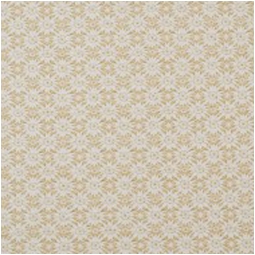 CARTA REGALO 70X100 10FG DELFINA