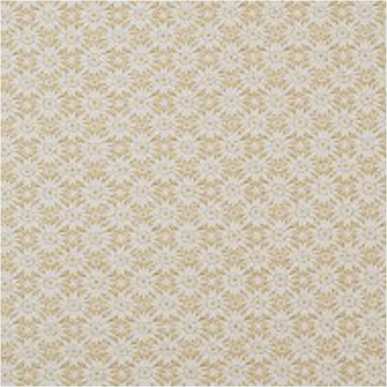 CARTA REGALO 70X100 10FG DELFINA