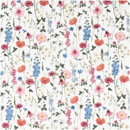 CARTA REGALO 70X100CM    10 FOGLI 2190 6300