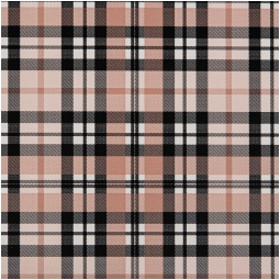 CARTA REGALO 70X100CM    10 FOGLI 2056 3860