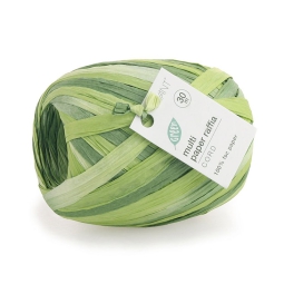 NASTRO RAFIA 30MMX5MT    VERDE MULTICOLOR