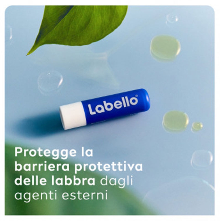 LABELLO CLASSICO 5