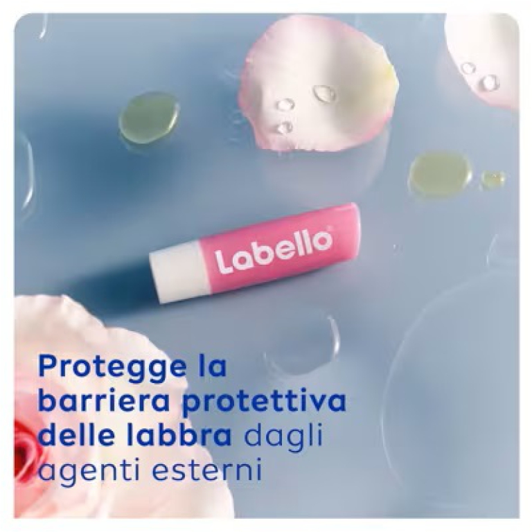 LABELLO SOFT ROSE' 5