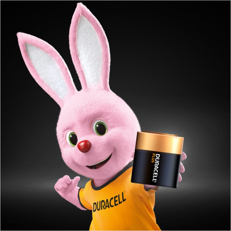 BATTERIE PIATTA 4.5V DURACELL 2