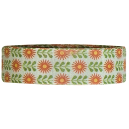 NASTRO TESSUTO 25MMX15MT COL.10 VERDE STAMPATO