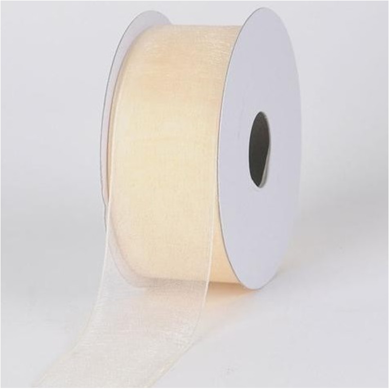 NASTRO ORGANZA 40MMX50MT BEIGE 02