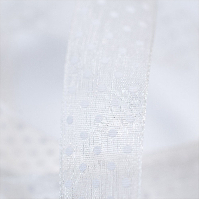 NASTRO ORGANZA 10MMX50MT POIS AVORIO 02 2