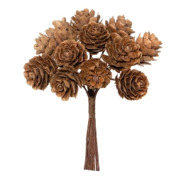 PICK PIGNE 12PZ H11CM    NATURALI