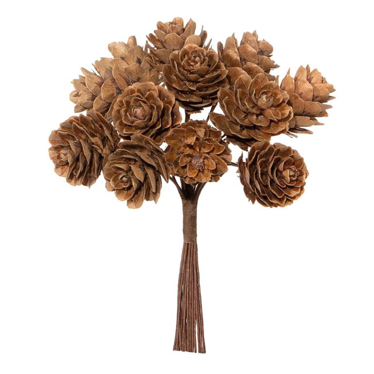 PICK PIGNE 12PZ H11CM    NATURALI