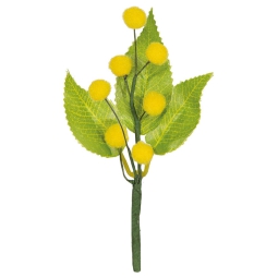 PICK MIMOSA 10,5H16,5CM  CON FOGLIE 12PZ