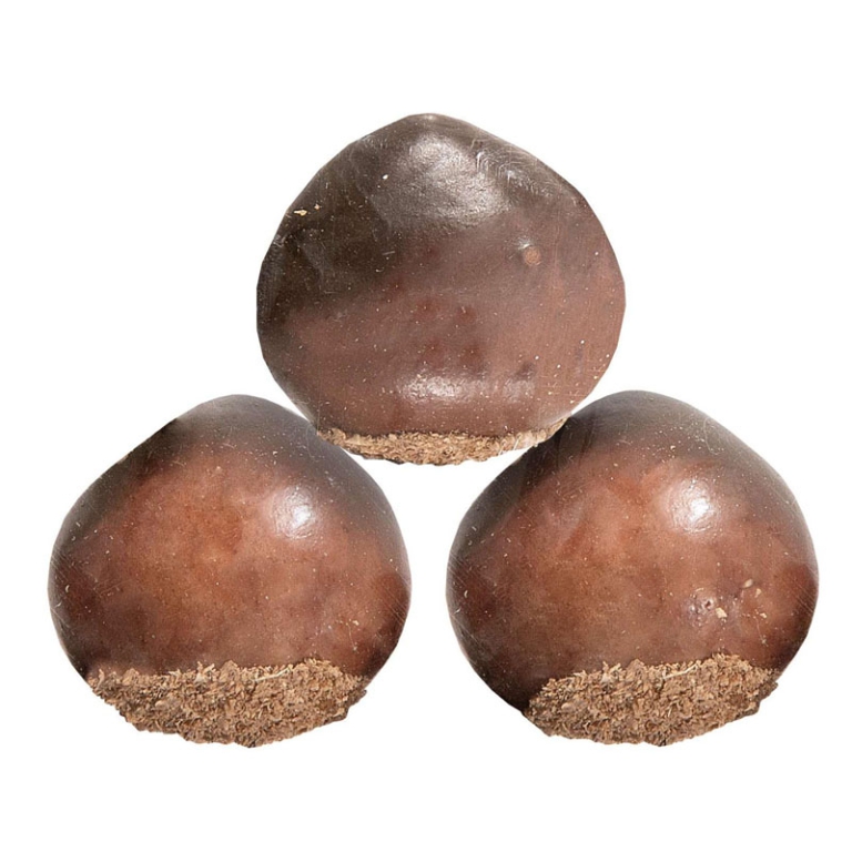 CASTAGNE D3CM SET 9PZ