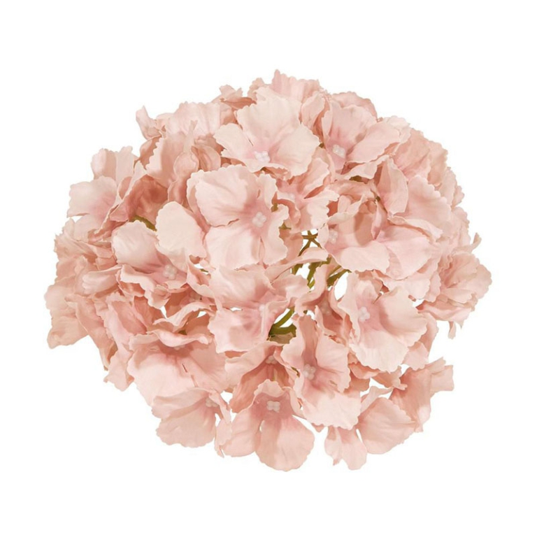 FIORE ORTENSIA D18CM     ROSA