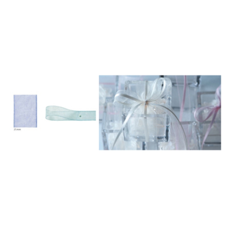 NASTRO ORGANZA 25MMX25MT CELESTE 172