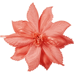 NASTRO MICOL MM60X25MT   P.CONFETTI ORG.ROSSO