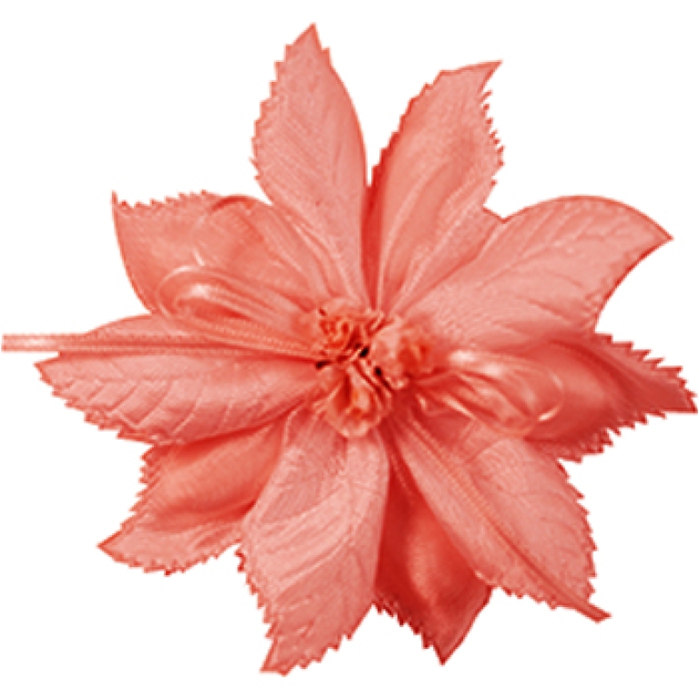 NASTRO MICOL MM60X25MT   P.CONFETTI ORG.ROSSO