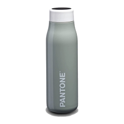BORRACCIA TERMICA PANTONE 500ML GRIGIO