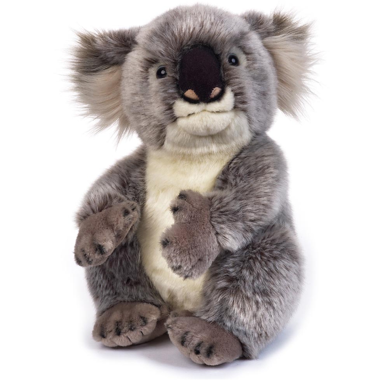 PELUCHE KOALA 25CM