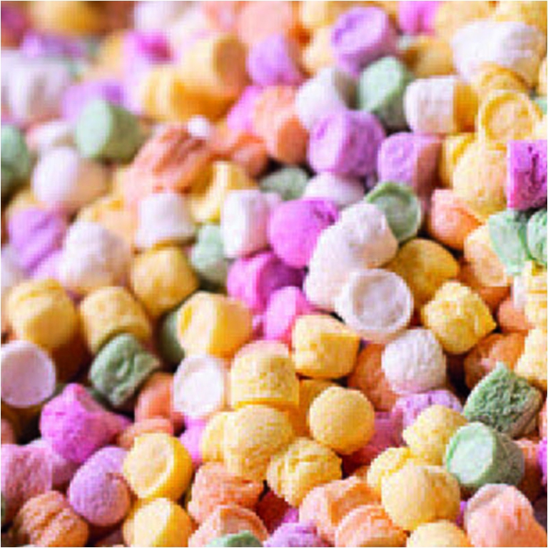 PASTIGLIE SCATOLE 24PZ 30GR TENERI CUCCIOLI LEONE 2