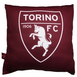 CUSCINO DA SALOTTO TORINO