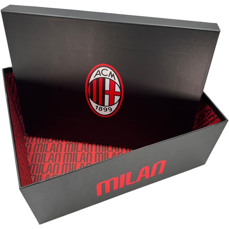 SET BOX STORAGE 10PZ 37X28CM MILAN 5