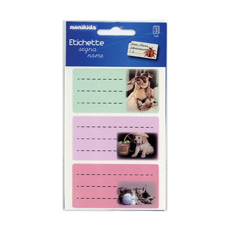 ETICHETTE SCUOLA FANTASIE ASSORTITE 7X3,7CM 3