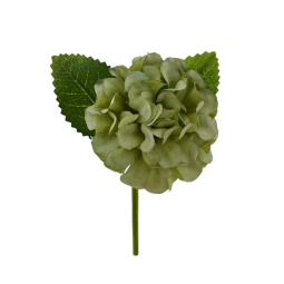 RAMETTO ORTENSIA H13CM   12PZ VERDE