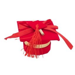 SCATOLINA TOCCO LAUREA 12PZ CON PERGAMENA ROSSO
