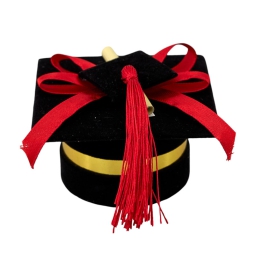 SCATOLINA TOCCO LAUREA 12PZ CON PERGAMENA NERO