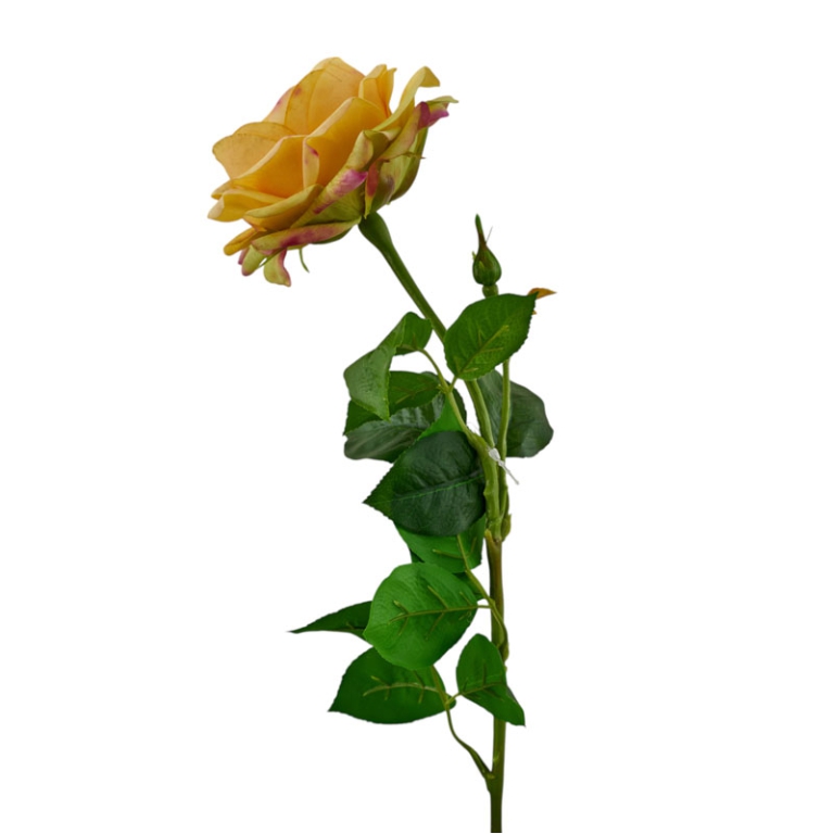 ROSA ALBA REAL TOUCH     H69CM OCRA