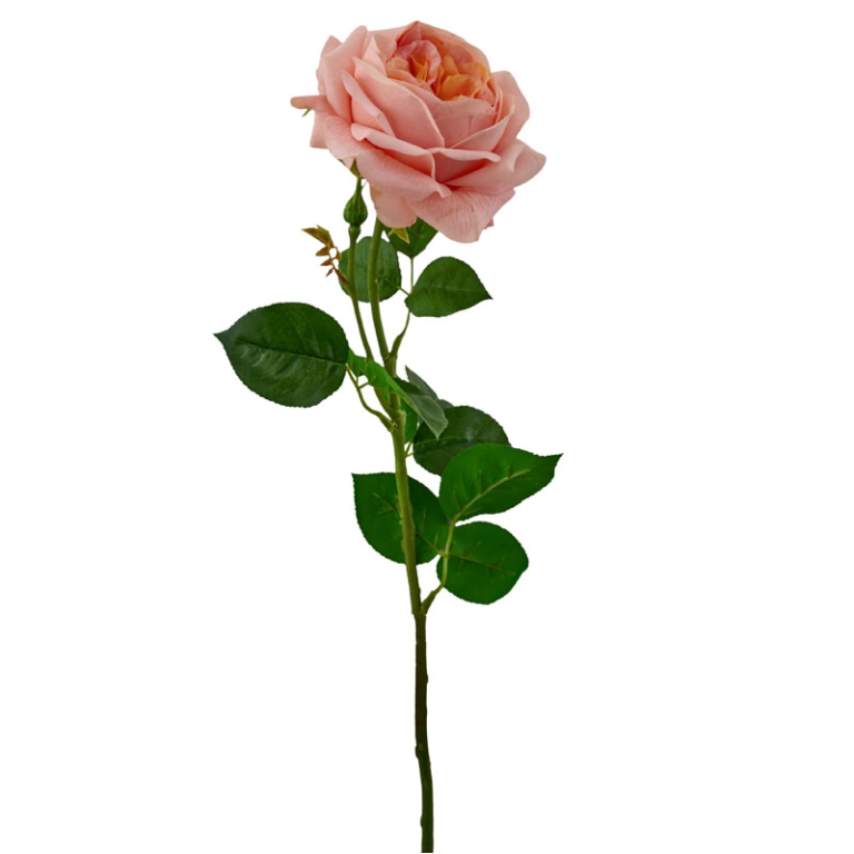 ROSA ALBA REAL TOUCH     H69CM PESCA 2