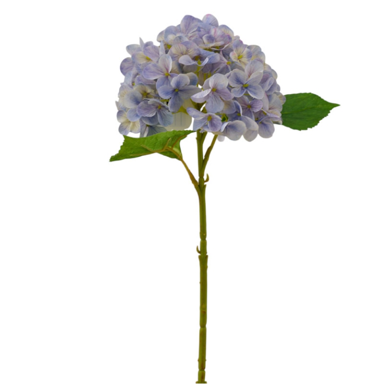 ORTENSIA REAL TOUCH      POLVERE 2