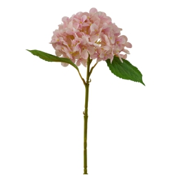 ORTENSIA REAL TOUCH      ROSA