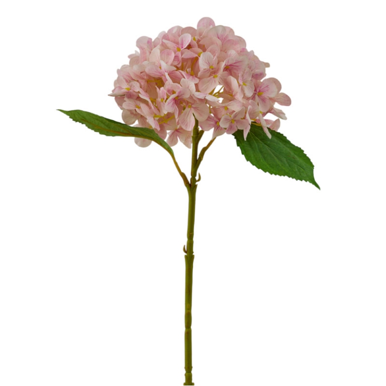 ORTENSIA REAL TOUCH      ROSA 2