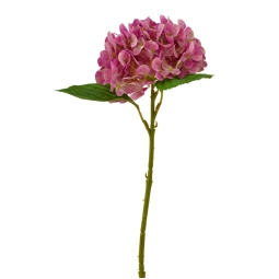 ORTENSIA REAL TOUCH      ROSA ANTICO