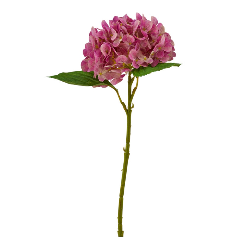 ORTENSIA REAL TOUCH      ROSA ANTICO