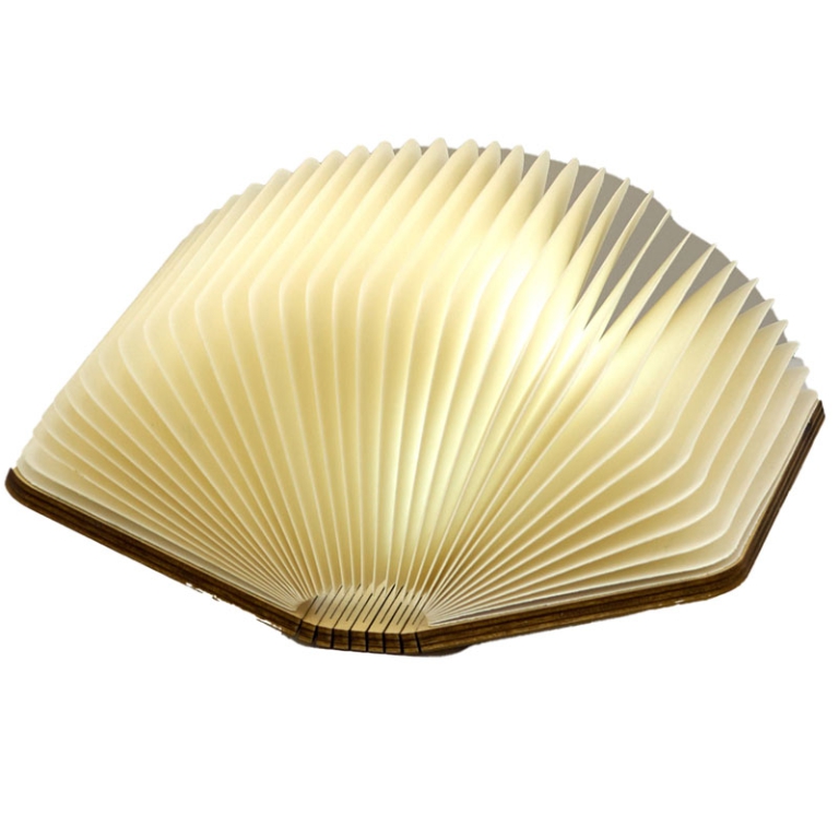 LAMPADA LIBRO LED 10X8H2,5CM 2