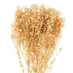 MAZZETTO GYPSOFILA NATURALE