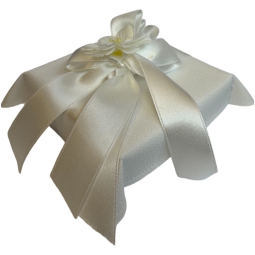 SVUOTATASCHE 10X10CM 6PZ BIANCA COPERCHIO PELLE