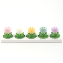 CANDELA MARGHERITA 5PZ   H5,5CM