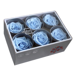 ROSA STABILIZZATA D5,5CM STANDARD 6PZ LIGHT BLU