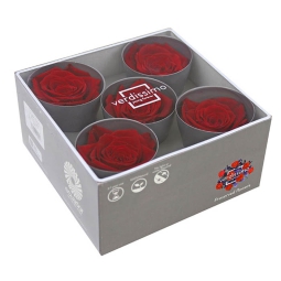 FIORE ROSA STANDARD STAB.5PZ ROSSA CON BOX