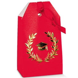 SCATOLE ALLORO DORATO 10PZ 55X35X100 TAG LINO ROS.