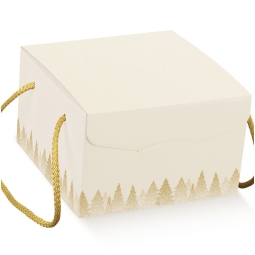 SCATOLE WHITE FOREST 2 PEZZI 245X245X180 SEGRETO C/C.