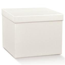 SCATOLE FIBRA BIANCO 2 PEZZI 300X300X240 FONDO COPERCHIO