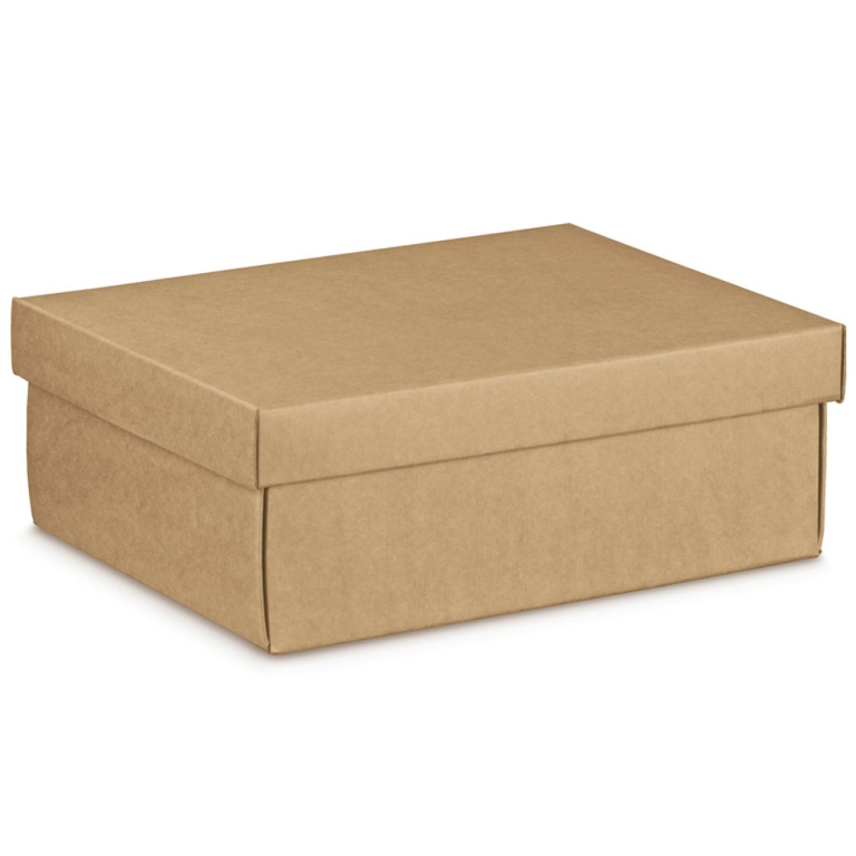 SCATOLA FONDO COPERCHIO 300X230X110 AVANA
