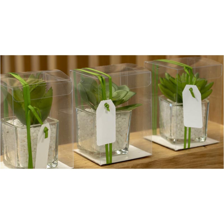 SCATOLE TRASPARENTE 10PZ PET 90X90X90 AUTOMATICO 2