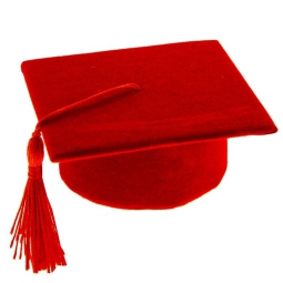 SCATOLA LAUREA  6PZ 7X7CM TOCCO ROSSO CON NAPPA